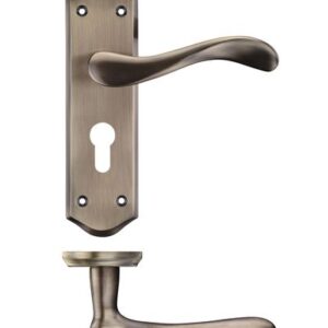 Project Asti lever on euro backplate