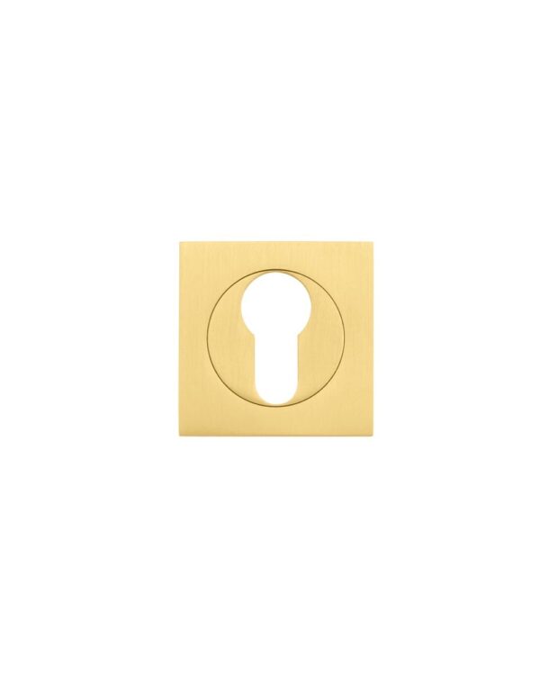 Square euro profile escutcheon